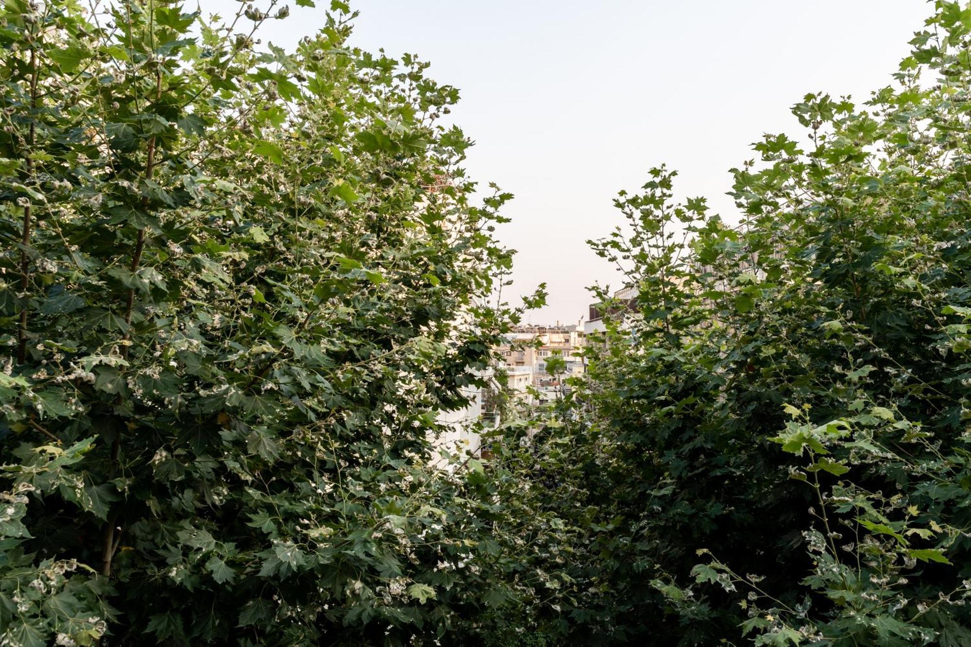 Frinichou 18 By Athens Concept Residences 外观 照片